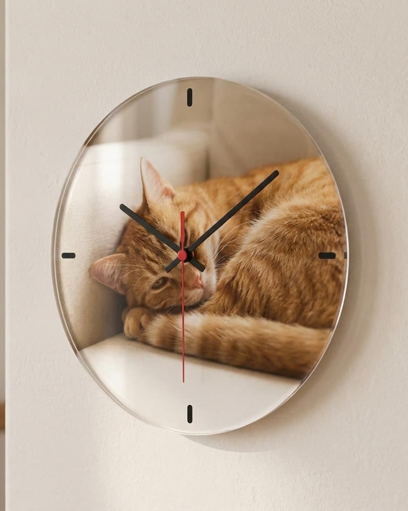Round acrylic clock on the wall, with a photograph of a sleeping cat printed in full colour