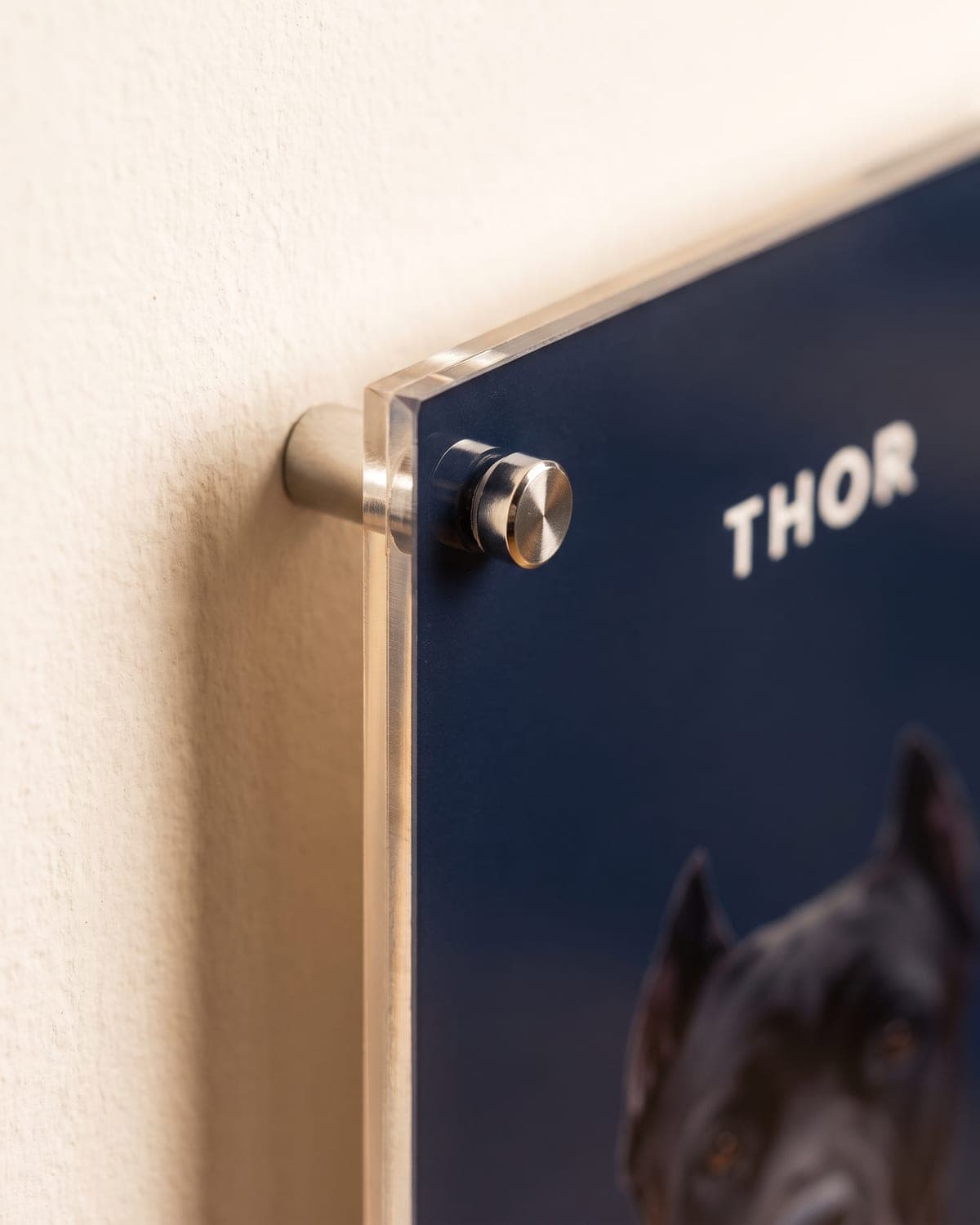 Corner of a Pet Portrait, with the metal standoff and the acrylic edge held off the wall