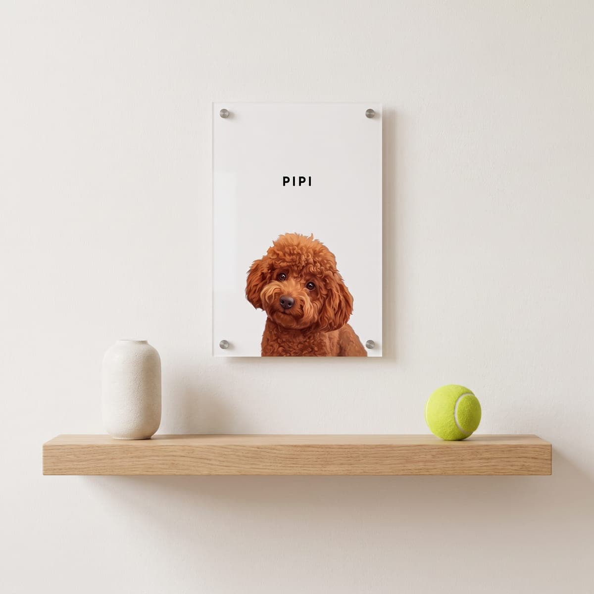 Pipi's Pet Portrait, 20 by 30 centimetres, on the wall above a shelf with a tennis ball