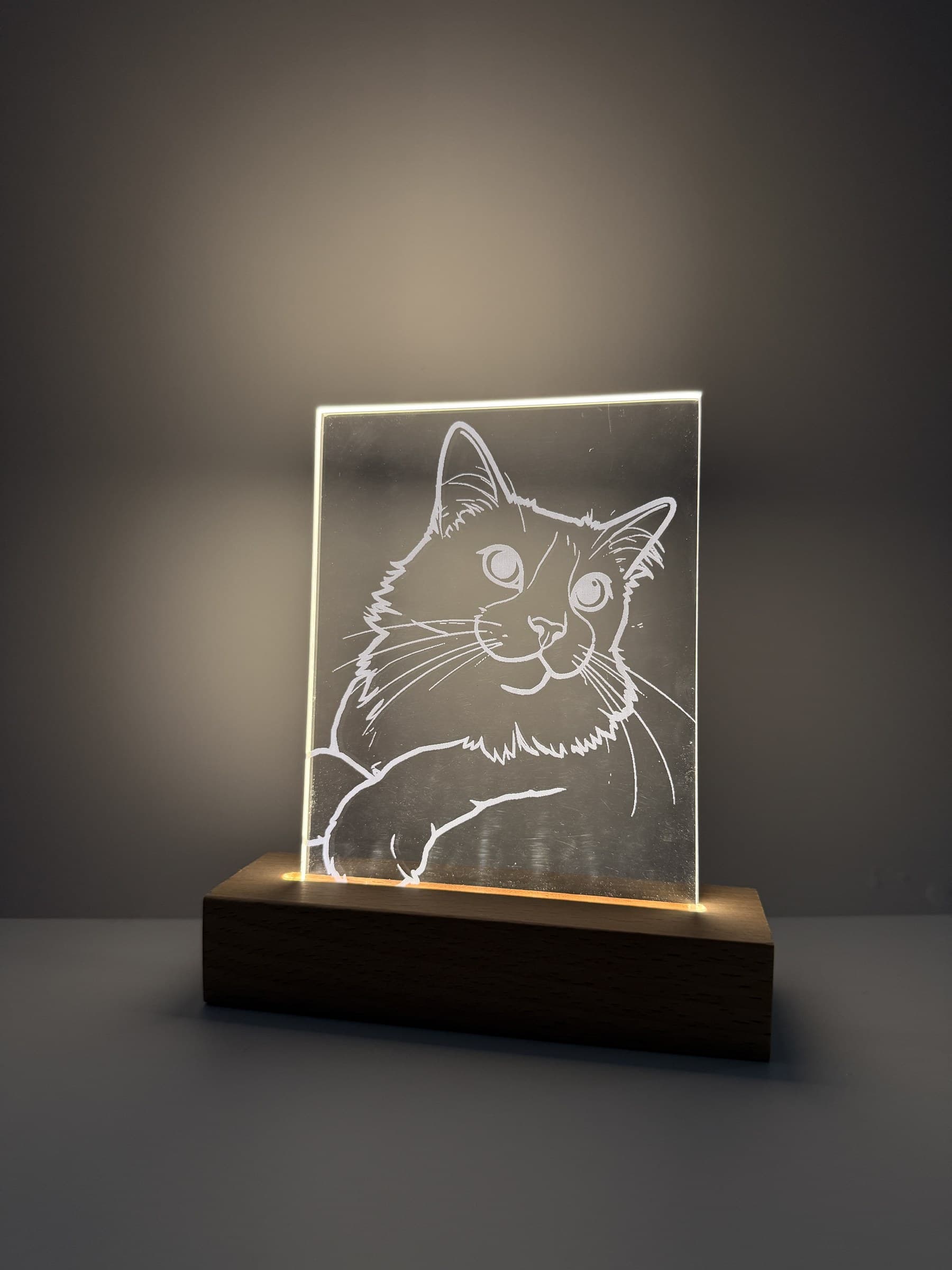 Placa LED gravura