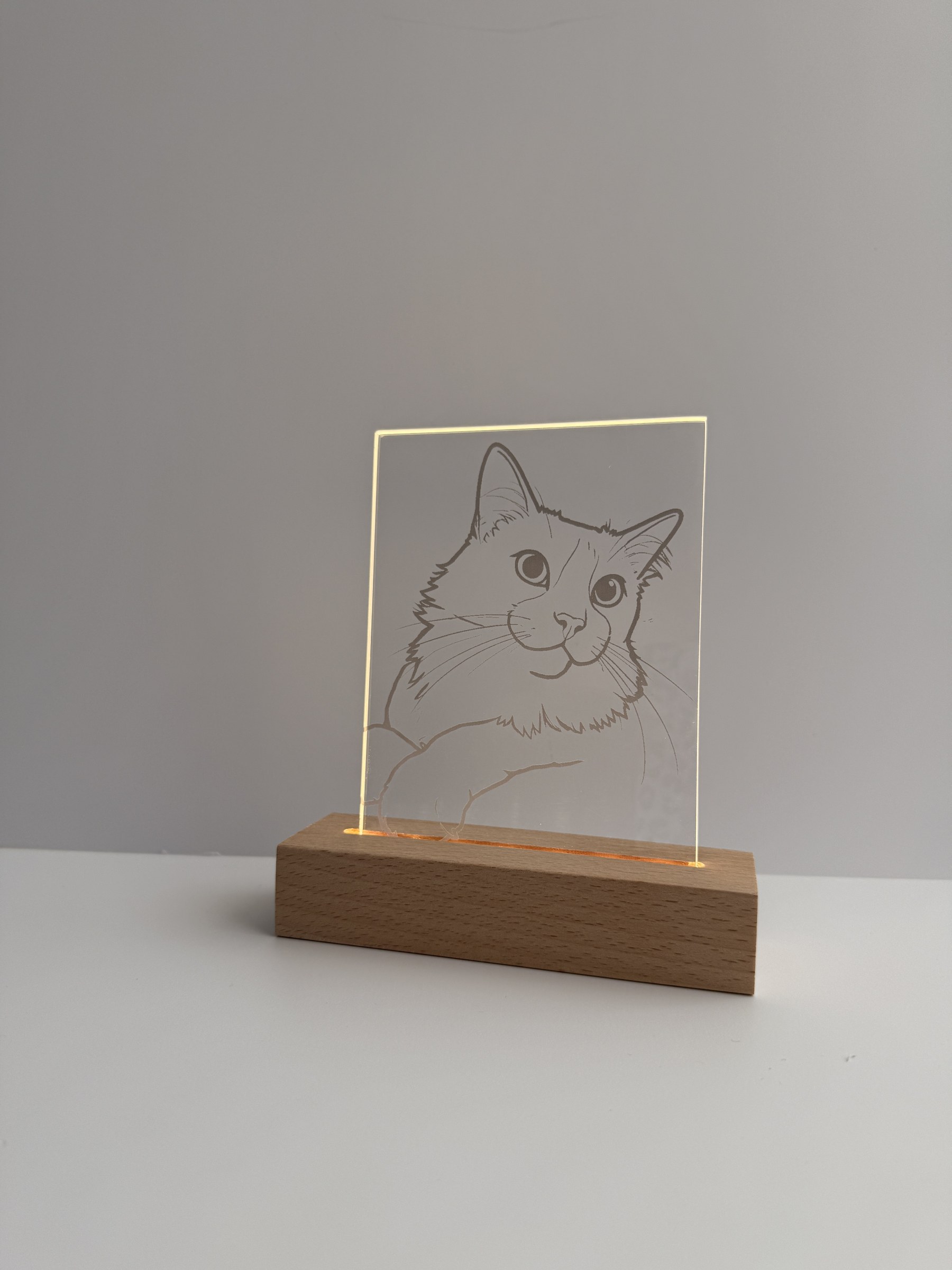 placa led acesa dia